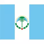 Vlajka Neuquen provincie