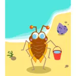 海滩的 bug