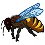 Imagen de primer plano de abeja