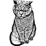 ベクトル描画と大きな目をした猫