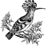 Eksotisk fugl illustrasjon