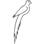 Immagine dell'uccello