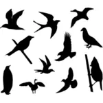 Păsări silueta vector imagine