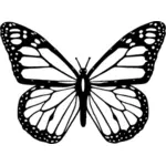Vector clip art of black and white butterfly with wide spread wings