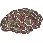 Brain typography