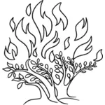 Brennende busk