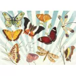 Schmetterlinge und Libellen