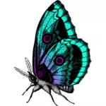 다양 한 색상에 나비