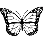 Obraz czarny motyl