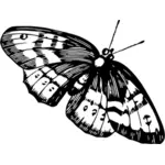 Černobílý obrázek motýl
