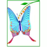 Butterfly med mange farger