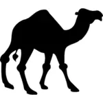 Silhueta de camelo vector preto