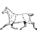 Cantering horse