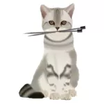 Gato com agulhas de tricô