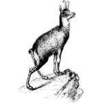 Ilustrasi vektor antelope pada batu