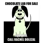 Prodej pes