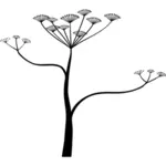 Cicuta 花のベクトル画像
