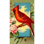 Cardinalul puii
