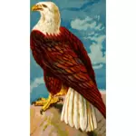 Eagle stående bilde