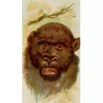 Портрет гориллы