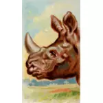 صورة وحيد القرن الهندي