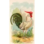 Illustration de la couleur d’un poulet