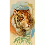 Тигриной головы изображение