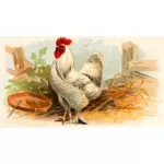 Weißes Huhn farbigen illustration