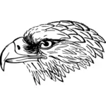Eagle's hoofd