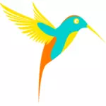 Fargerike colibri
