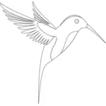 Colibri sketsa