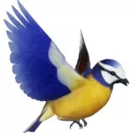 Vektor Klipart barevné ptáka