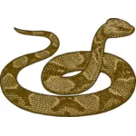 铜斑蛇蛇形象