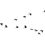 Muodostelmassa lentävät linnut