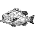 白亜紀の魚