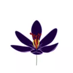 Imagem vetorial de açafrão flor