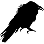 Ворона векторное изображение