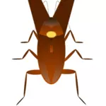 Hamam böceği illüstrasyon
