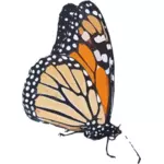 Kleurrijke vlinder tekening