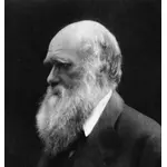 Charles Darwin mustavalkoisena