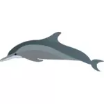 Delfinilor pe profil