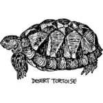 Woestijn schildpad