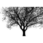 Detaillierten Baum Silhouette