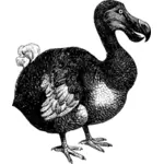 Disegno di Dodo