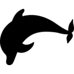 Dolphin's silhouette