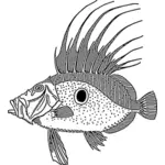 Dory fisk