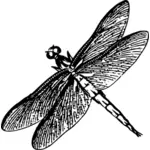 Dragonfly pictogram