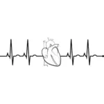 EKG realistic heart