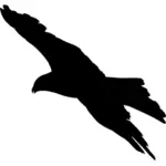 Silhouette de l’aigle noir