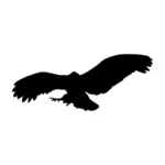 Flying eagle vector silhouette